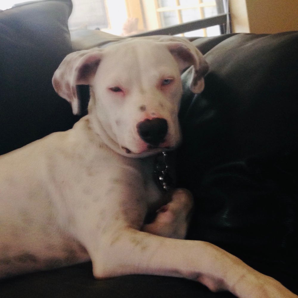 Meet your Posher, Connie